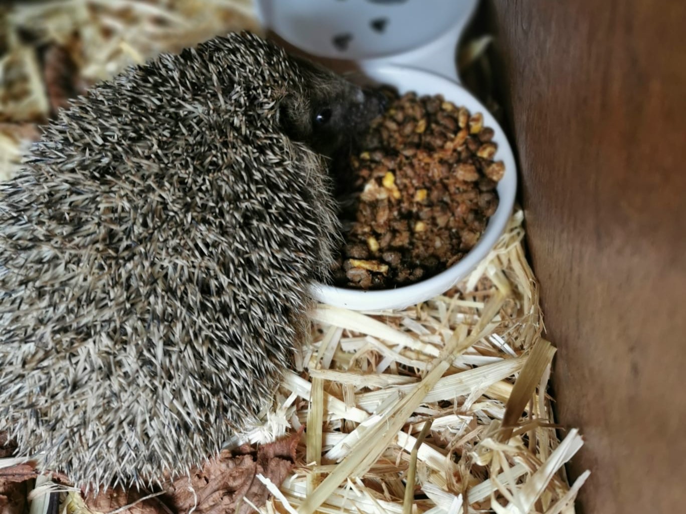 20201104_124757000_iOS