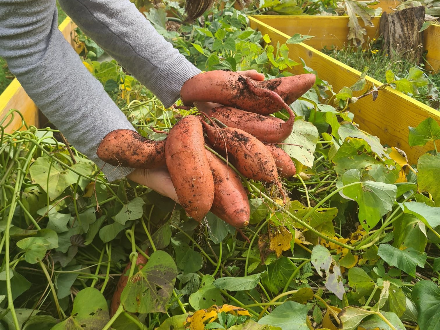 WhatsApp Image 2025-01-02 at 14.06.28 (9)