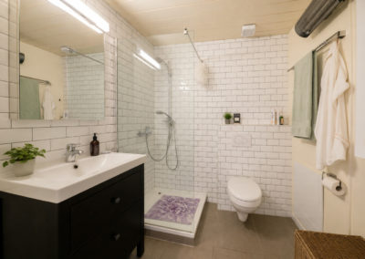 Studio Annexe : la salle de bain privée avec douche de plain-pied